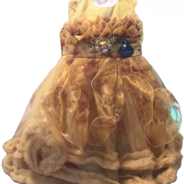 Simosa Print Frock - Image 4