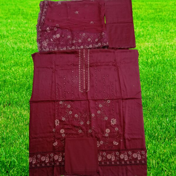 Shanaya Embroidered Viscose Suit - Image 7